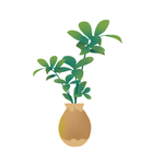 植物元素