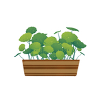 植物装饰盆栽元素