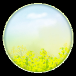 插画装饰油菜花元素