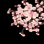 樱花树元素