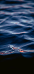 水纹