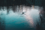 水纹