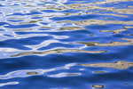 水纹