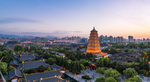 城市