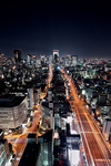 城市