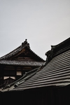 古典古建屋脊