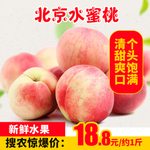 北京水蜜桃推广图