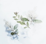 花卉