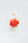 花卉