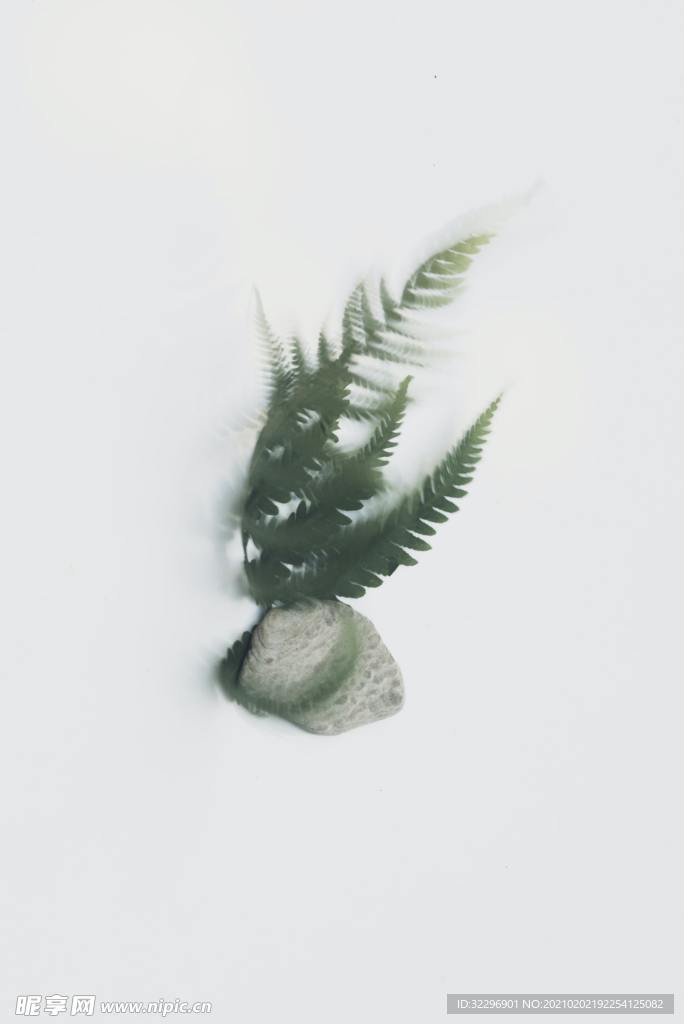 花卉
