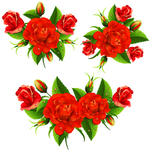 玫瑰花与花纹装饰