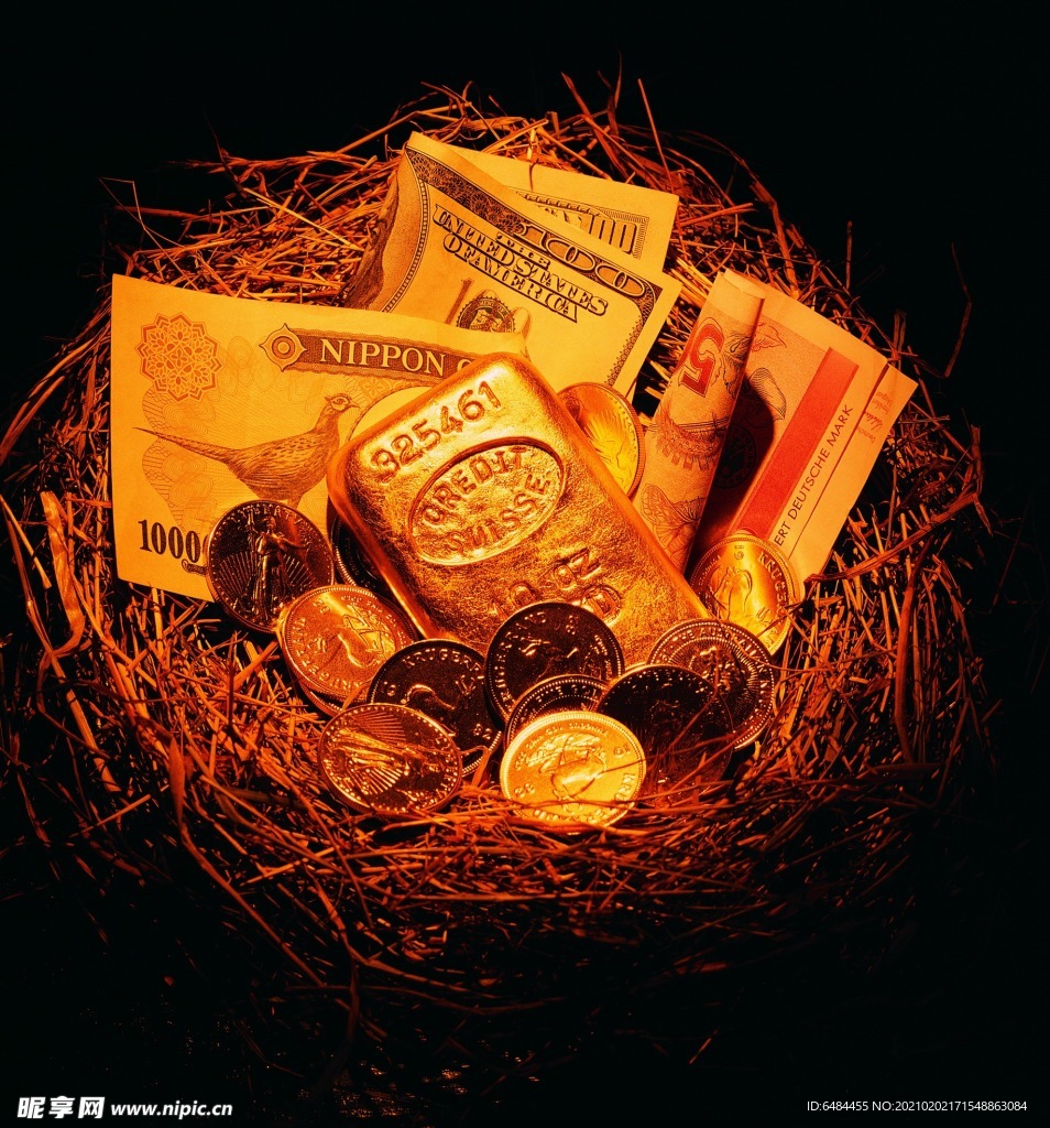 巢里的钱黄金金砖金钱之家