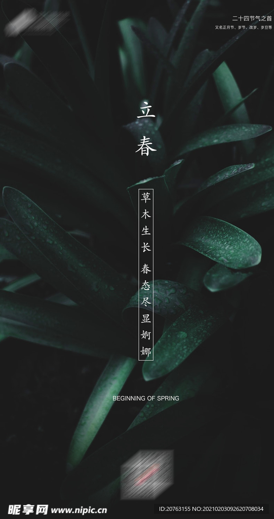 节气立春 发芽立春 质感立春
