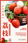 荔枝海报