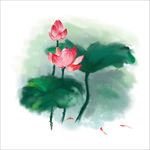 荷花
