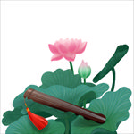 荷花