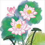 荷花