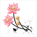 荷花