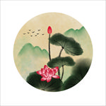 荷花