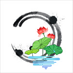 荷花