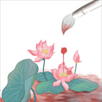 荷花