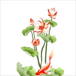 荷花