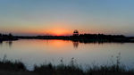 衡水湖的日落