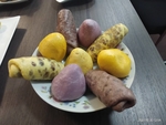 窝窝头
