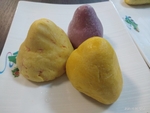 窝窝头