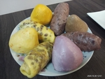 窝窝头