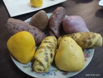 窝窝头