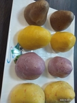窝窝头