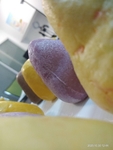 窝窝头