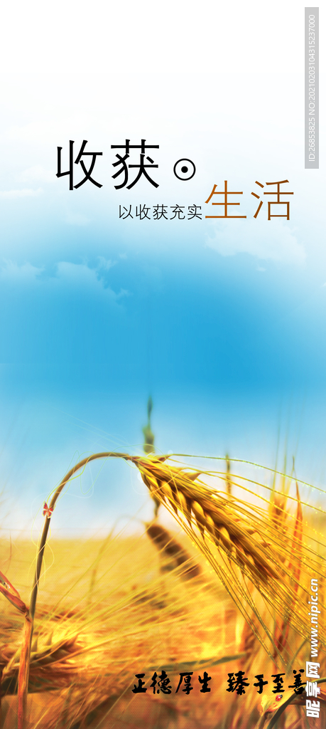 企业文化 企业展板 企业挂画