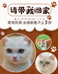 宠物