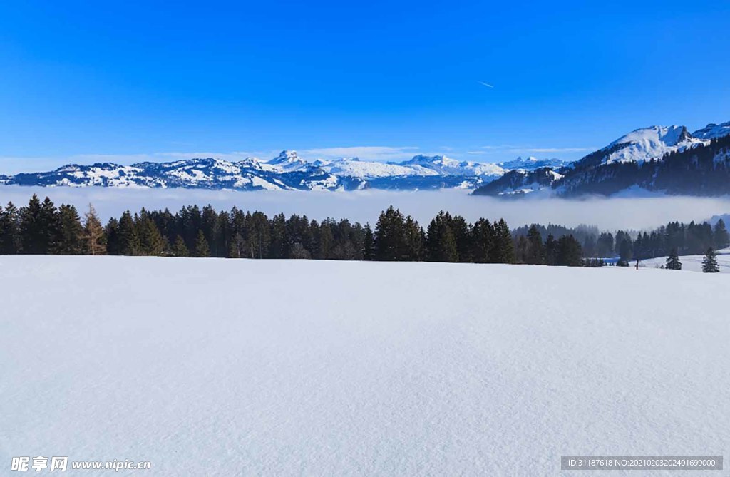 冬季雪景