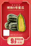 博扬9号蜜瓜加档秒推广图