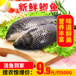 活鱼到家新鲜鲫鱼推广图