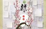 玉兰背景墙