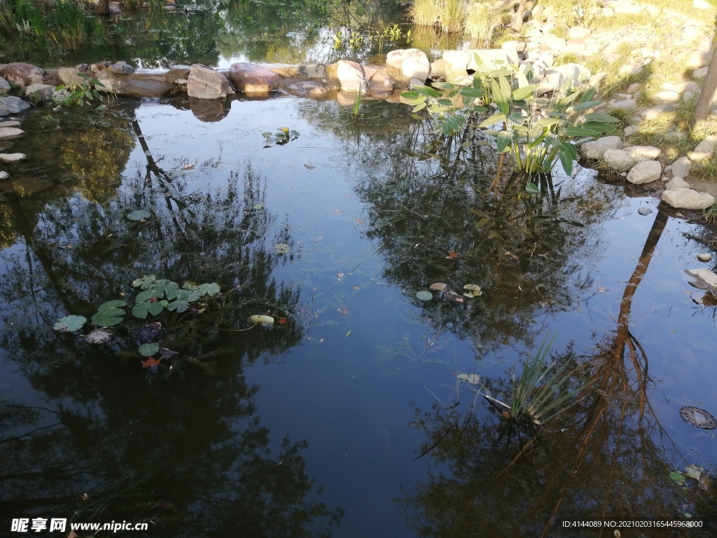 水系风景郑州市植物园