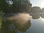 郑州植物园水系雾景