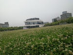 苏州大学独墅湖校区音乐厅