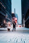 城市雪中遛狗的人