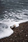 冲到海岸边的漂流瓶