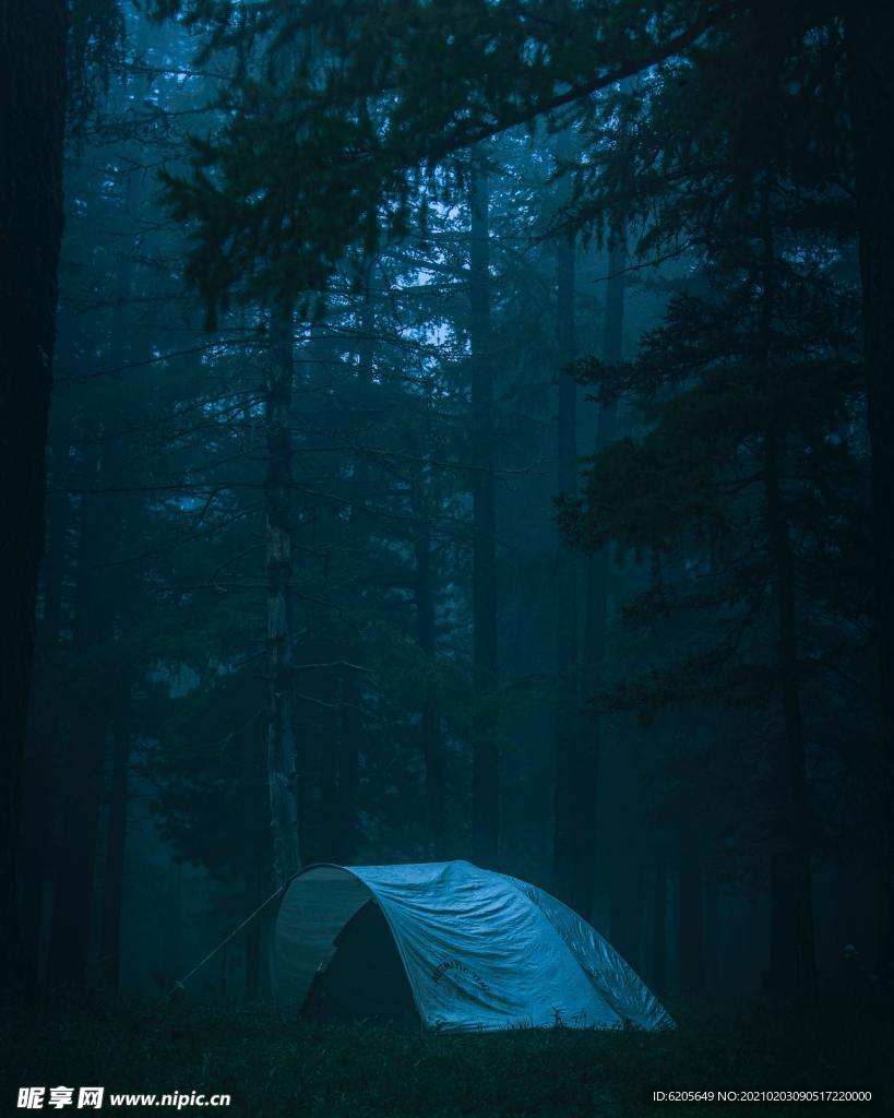原始森林中的露营帐篷