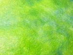梦幻绿 背景