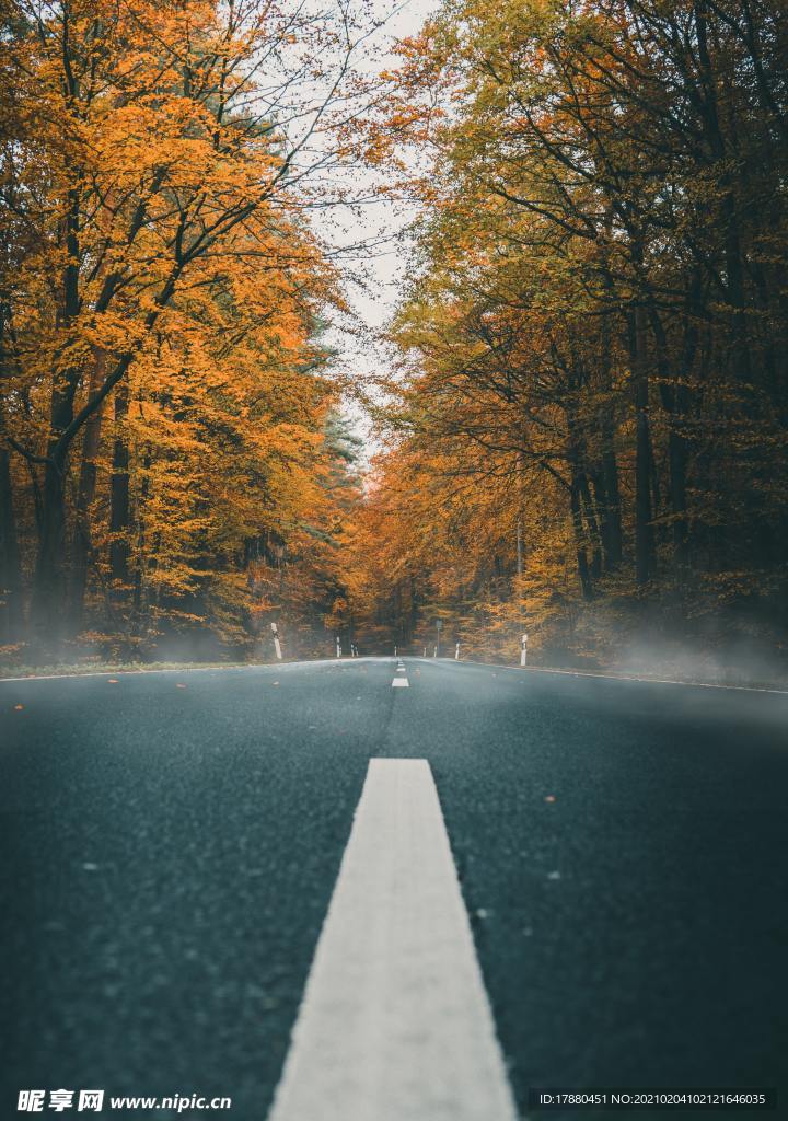 道路