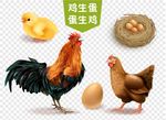 矢量鸡和蛋