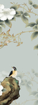 花鸟