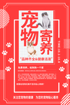 宠物